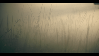 BORA - THE FOG